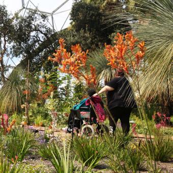 A person pushing someone in a wheelchair through the biome